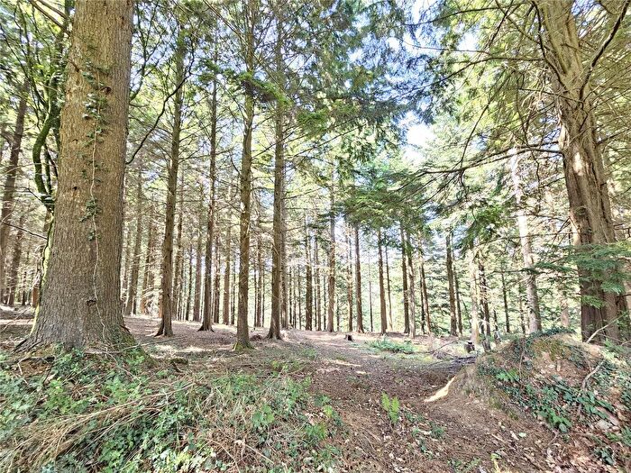 Land For Sale In Caddywell Lane, Torrington, Devon, EX38