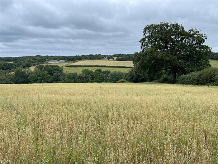 Land For Sale In Witheridge, Tiverton, EX16