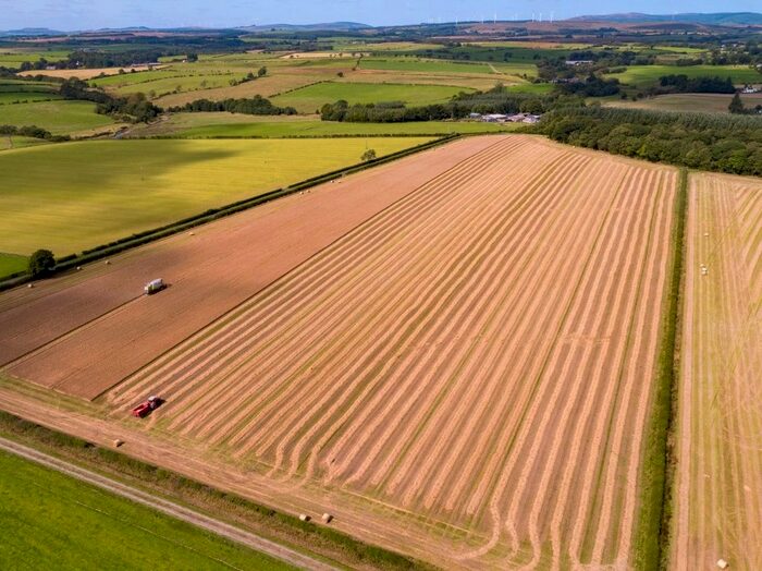 Land For Sale In Englishtown Farm - Lot, Longtown, Carlisle, CA6