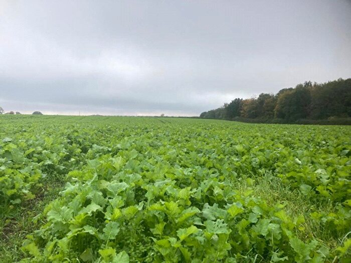 Property To Rent In . Acres Of Stubble Turnips, . Acres Of Stubble Turnips, Home Farm, Rangemore, DE13