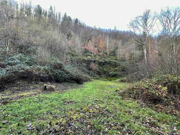 Land For Sale In Llanarthney, Carmarthen SA32