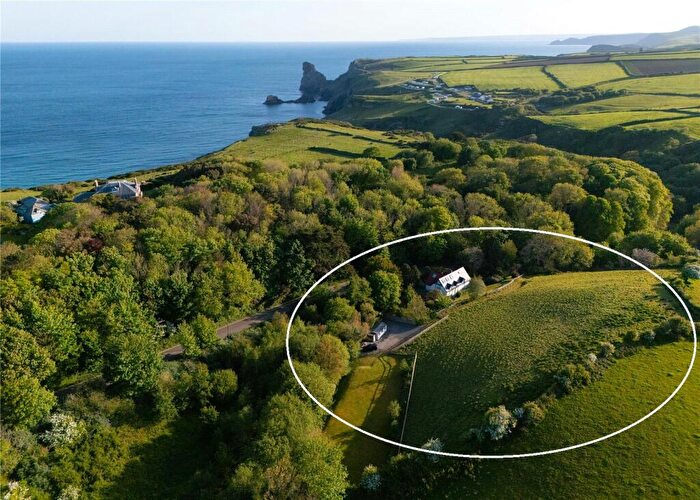 5 Bedroom Detached House For Sale In Tintagel, Cornwall, PL34