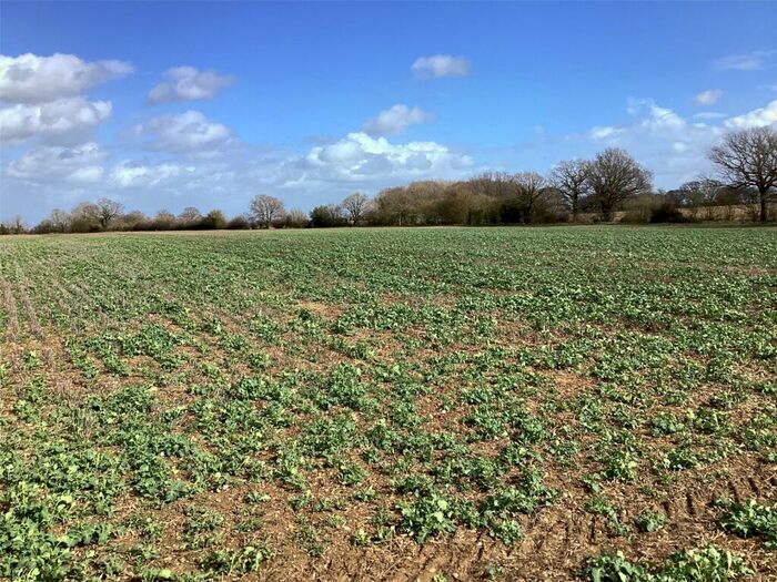 Land For Sale In Land At Braes Farm, Assington, Sudbury, Suffolk, CO10