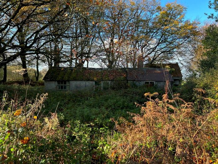 Land For Sale In Halwill, Beaworthy, Devon, EX21