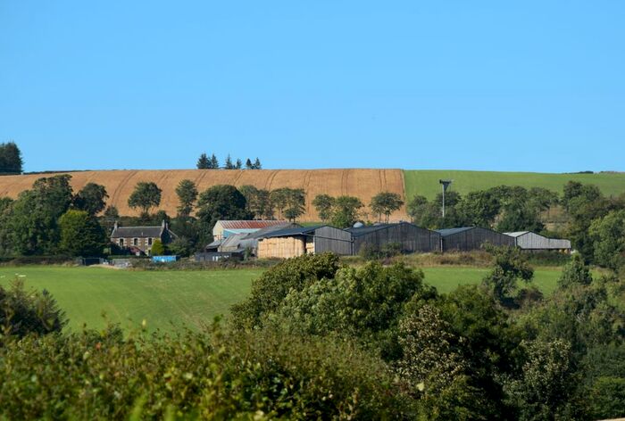 Farm For Sale In Leven, KY8