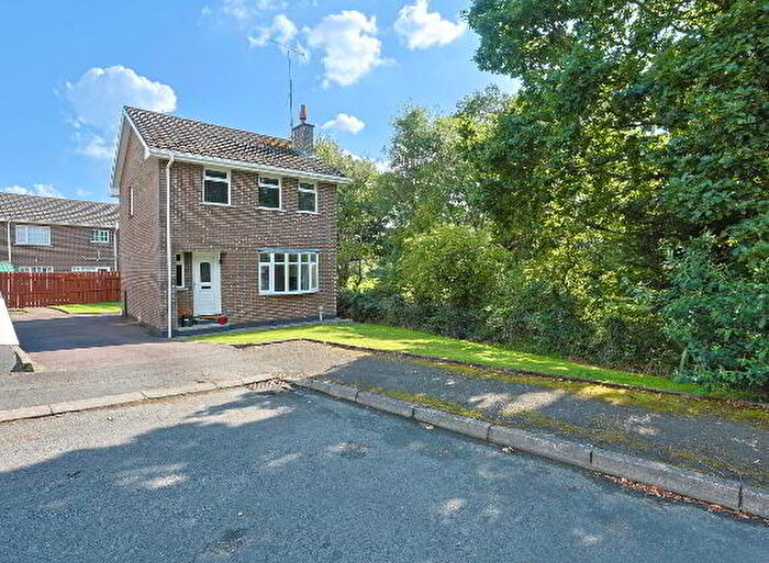 3 Bedroom Detached House For Sale In Kensington Park, Craigavon, BT63