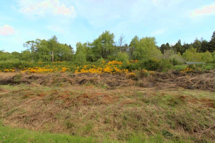Land For Sale In Auchenhalrig, Spey Bay, Fochabers, IV32