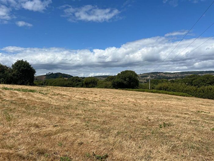 Land For Sale In Whitchurch Canonicorum, Bridport, DT6