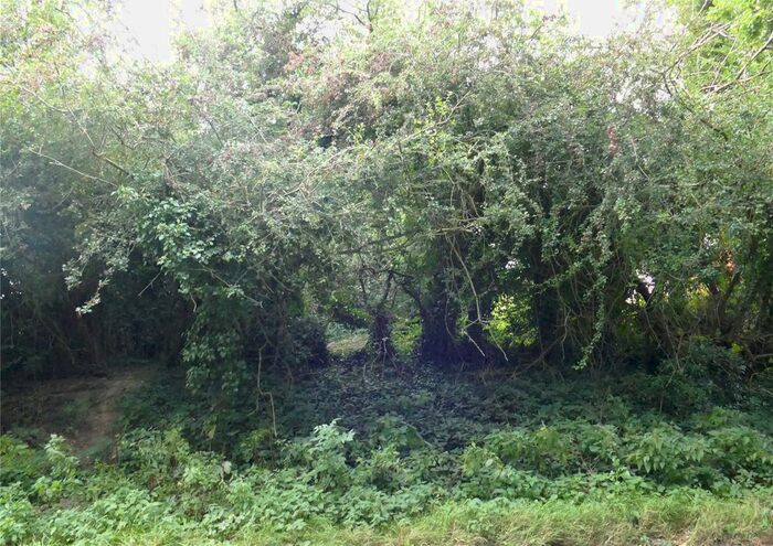 Land For Sale In A28, Brede, Rye, Kent TN31