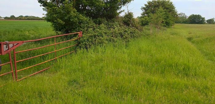 Land For Sale In Common Road, Diss, IP21