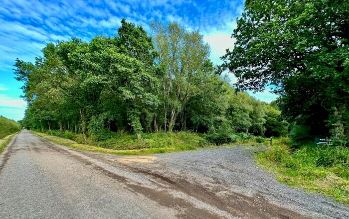 Land For Sale In St Vincents Copse, Uddens Drive, Wimborne, Dorset, BH21