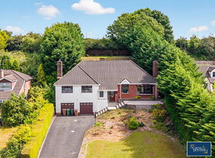 5 Bedroom Detached House For Sale In Hampton Court, Dromore, BT25