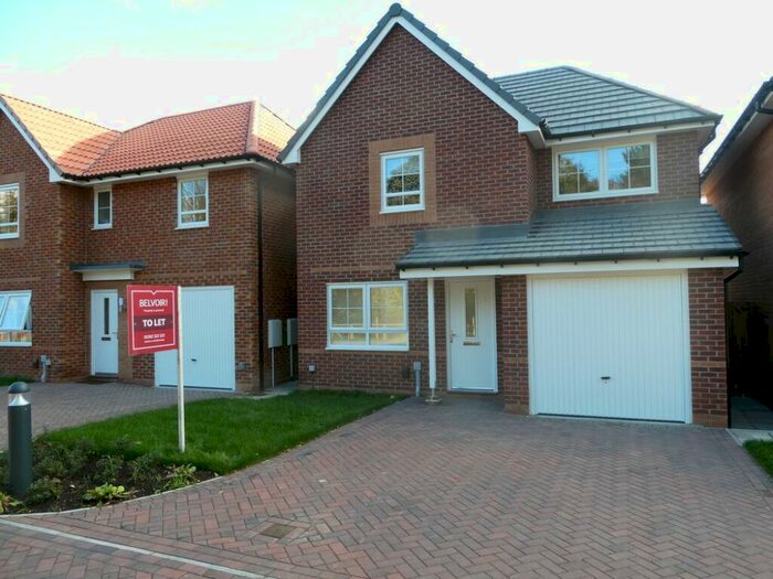 3 Bedroom Detached House To Rent In Fallow Drive, Doncaster, DN2