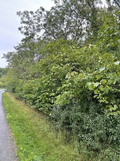 Land For Sale In Sam's Wood, Hallaton, Leicestershire, LE15