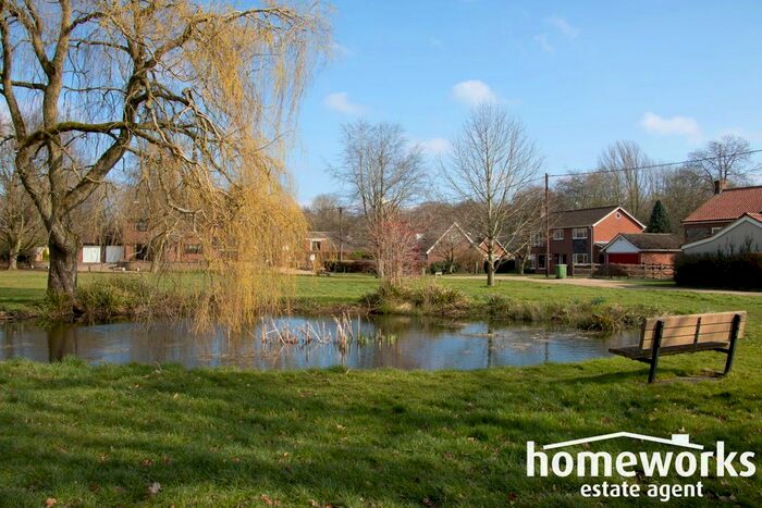 3 Bedroom Detached House For Sale In The Green, Gressenhall, NR20