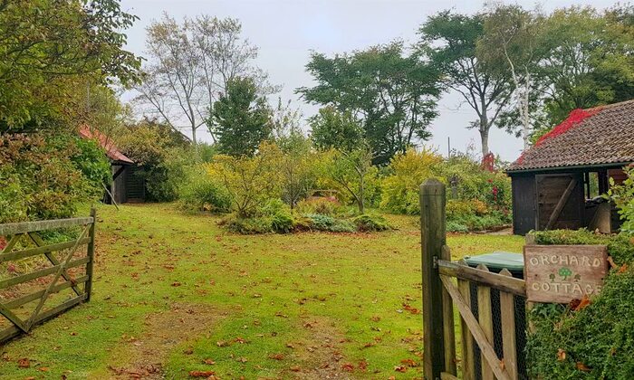 3 Bedroom Detached Bungalow For Sale In Thornicombe Hill, Thornicombe, Blandford Forum, DT11