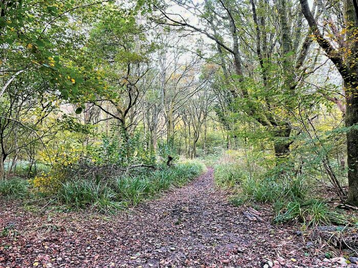 Land For Sale In Russ Hill, Charlwood, Horley RH6