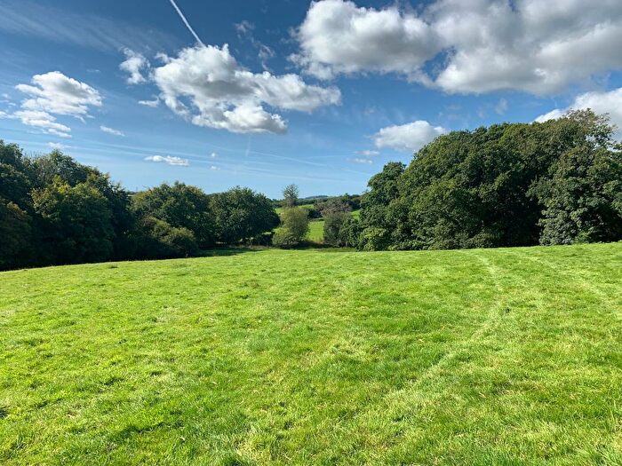 Land For Sale In South Brent, TQ10