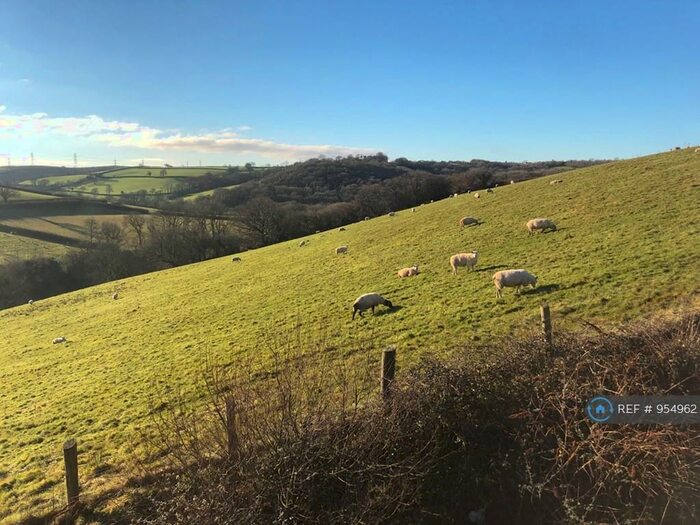 6 Bedroom Detached House To Rent In Lletycaru Fawr, Carmarthen, SA32