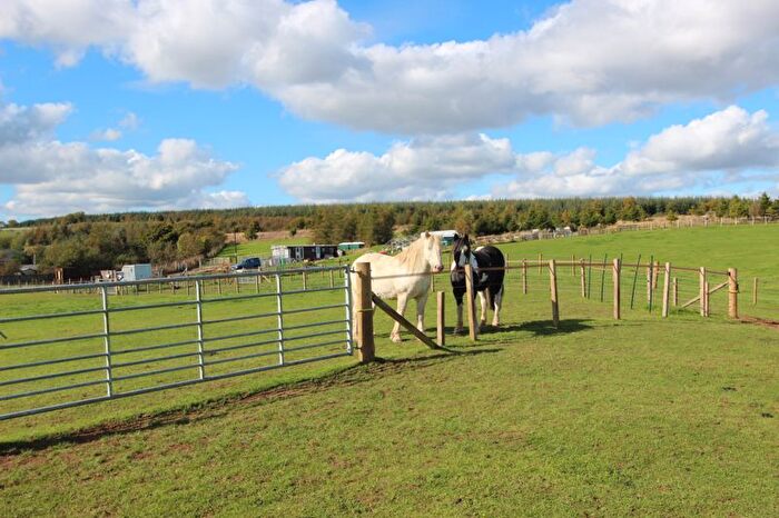 Equestrian Property For Sale In Middleton Park, Blairadam, Kelty, KY4