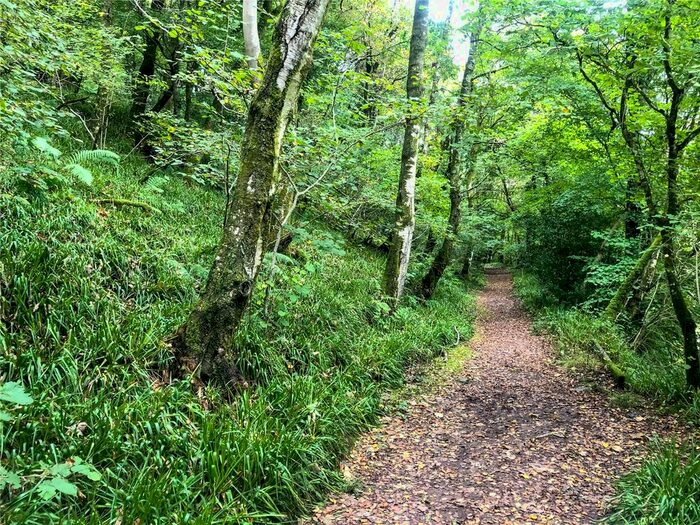 Land For Sale In Calder Woodlands, Calderbridge, Seascale, Cumbria CA20