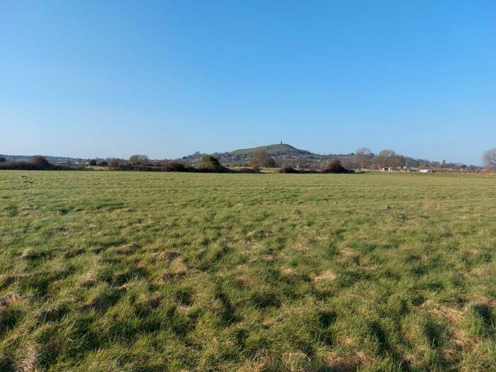 Farm Land For Sale In Watchwell Drove, Butleigh Wootton, BA6