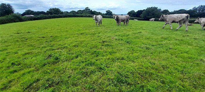 Equestrian Property For Sale In Glastonbury, Somerset, BA6