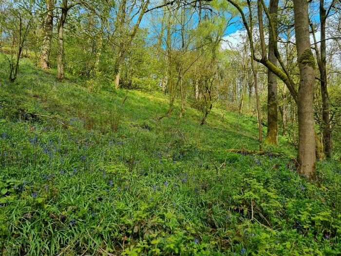 Land For Sale In Lot : Gospel Farm, Bramley Lane, Hassop, Bakewell, DE45