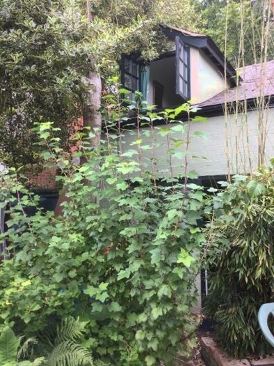 1 Bedroom Terraced House To Rent In The Square, Clifford Chambers, CV37