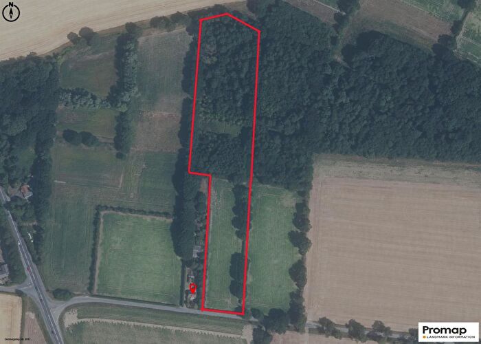 Land For Sale In New Road, Catfield, Great Yarmouth, NR29