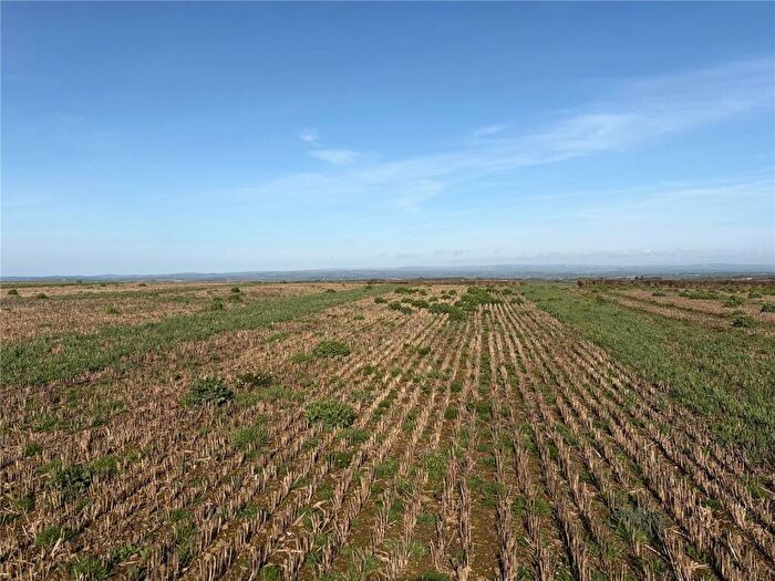 Land For Sale In Ebberley, Torrington, Devon, EX38