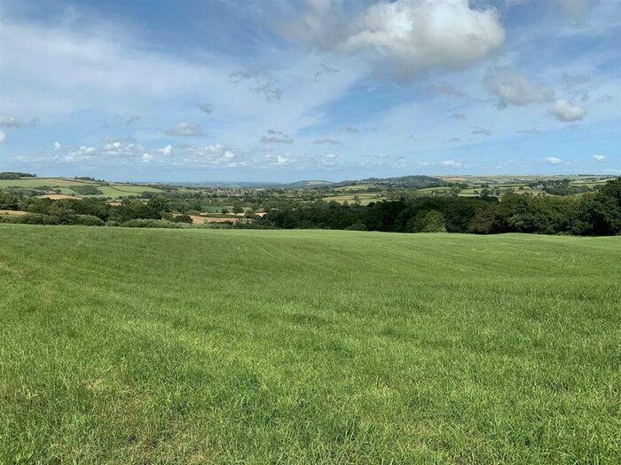 Land For Sale In Broadwindsor, Beaminster, DT8