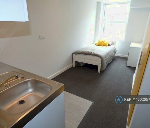 Studio To Rent In Luton, Luton, LU1