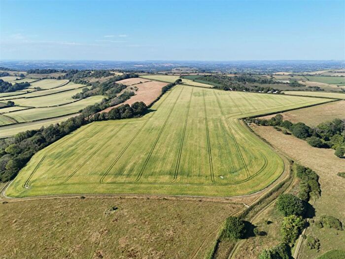 Land For Sale In Cerne Abbas, Dorchester, DT2