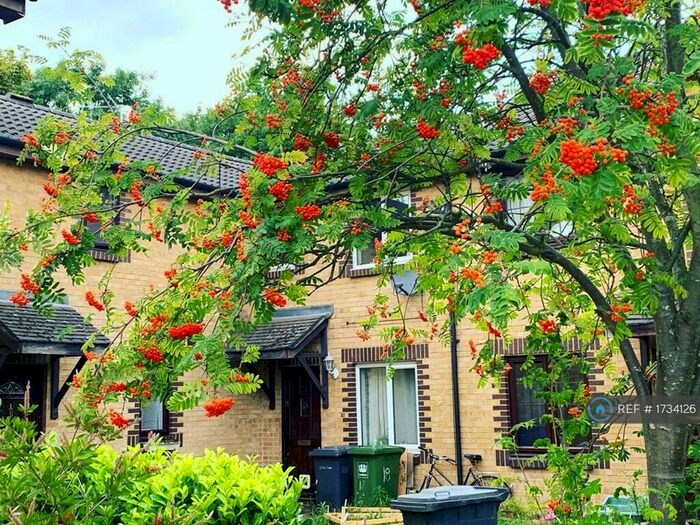 4 Bedroom Terraced House To Rent In Tarragon Close, London, SE14