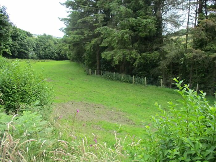 Building Plots For Sale In Site Adj To, Glenaan Road, Ballymena, BT44