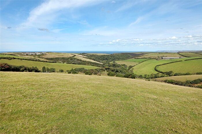 Land For Sale In Crackington Haven, Bude, Cornwall, EX23