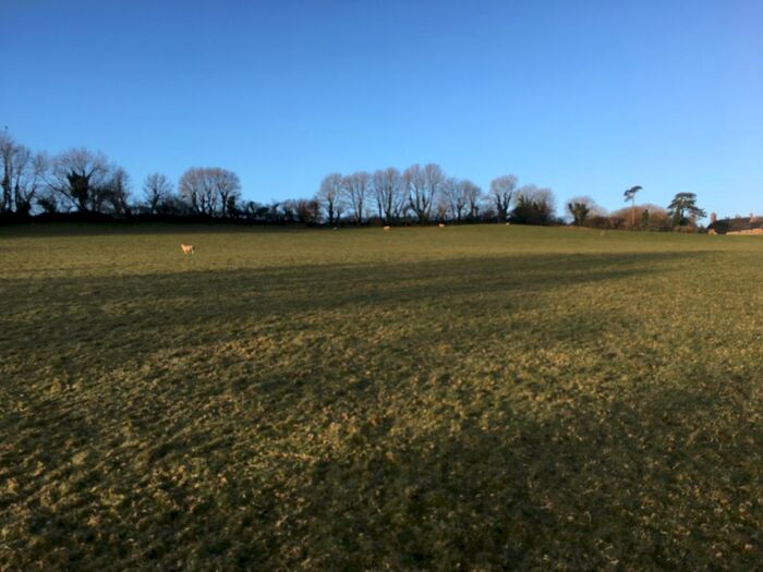 Land For Sale In Yealmpton, Plymouth, PL8
