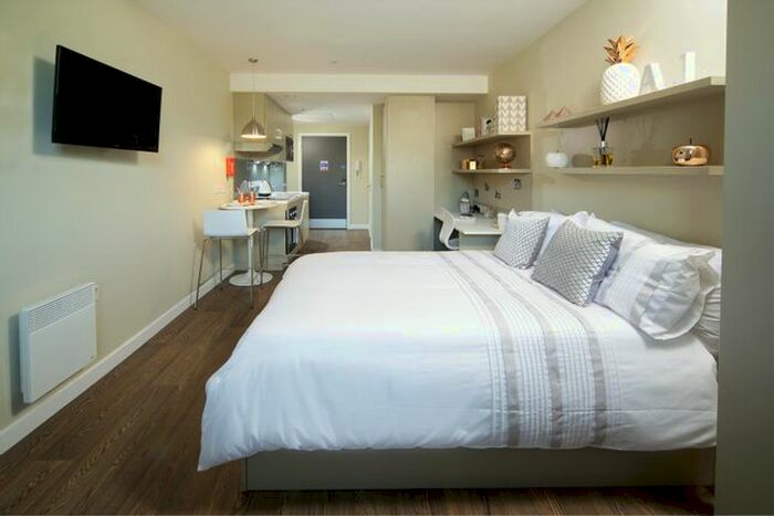 Studio To Rent In Grantham Road, Sandyford, Newcastle Upon Tyne, NE2