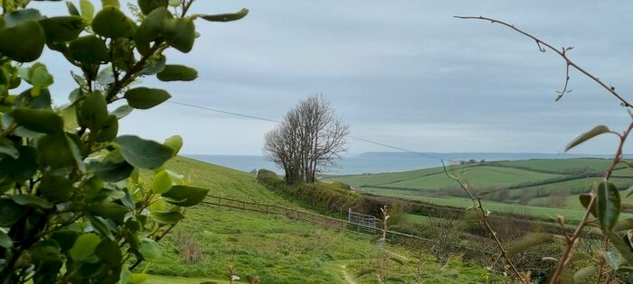 4 Bedroom Cottage To Rent In South Huish, Kingsbridge, TQ7