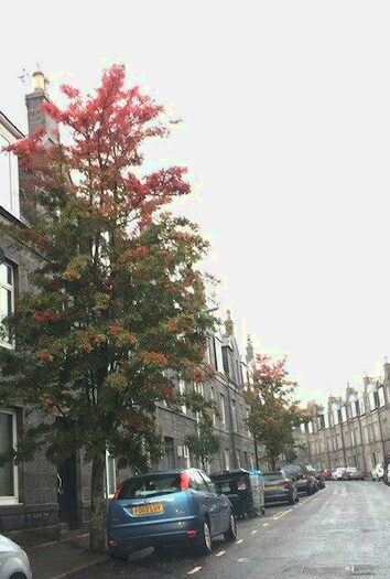 1 Bedroom Flat To Rent In Wallfield Crescent, Rosemount, Aberdeen, AB25