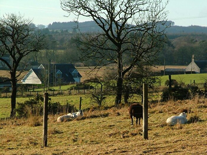 Plot For Sale In Residential Development - Option, Drum, KY13