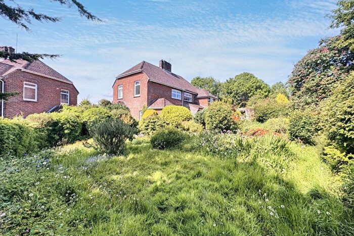 3 Bedroom Semi-Detached House For Sale In Bere Regis, BH20