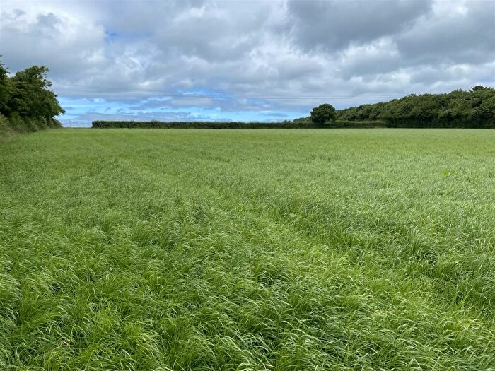 Land For Sale In Higher Clovelly, Bideford, EX39