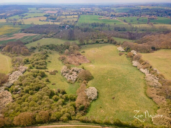 Land For Sale In Great Maplestead, Halstead, Essex, CO9