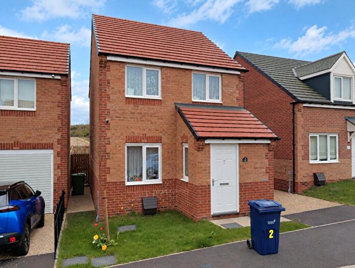 3 Bedroom Detached House For Sale In Perkins Close, Hetton Le Hole, DH5