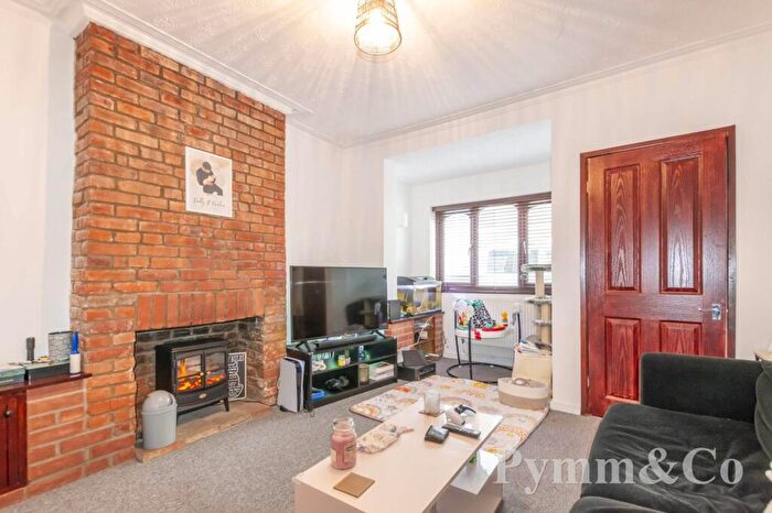 2 Bedroom End Of Terrace House For Sale In Cyprus Street, Norwich, NR1