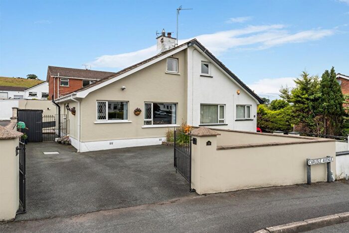 3 Bedroom Semi-Detached House For Sale In Carlisle Avenue, Ballynahinch, BT24