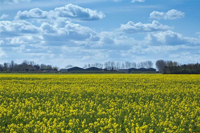 Land For Sale In The Coldham Estate, Wisbech, Cambridgeshire, PE14