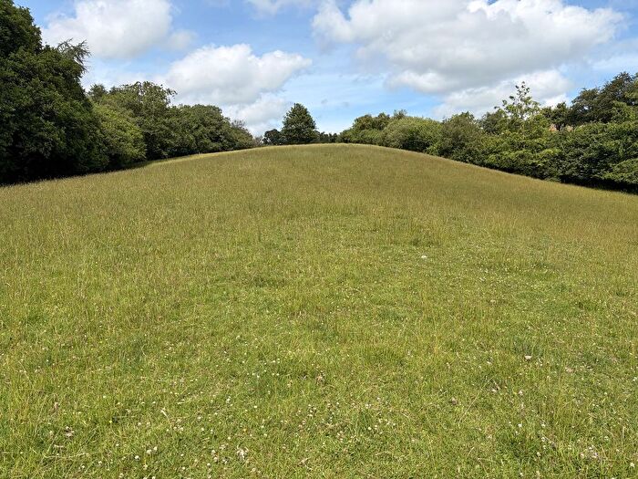Property For Sale In Pontfaen, Brecon, Powys ., LD3